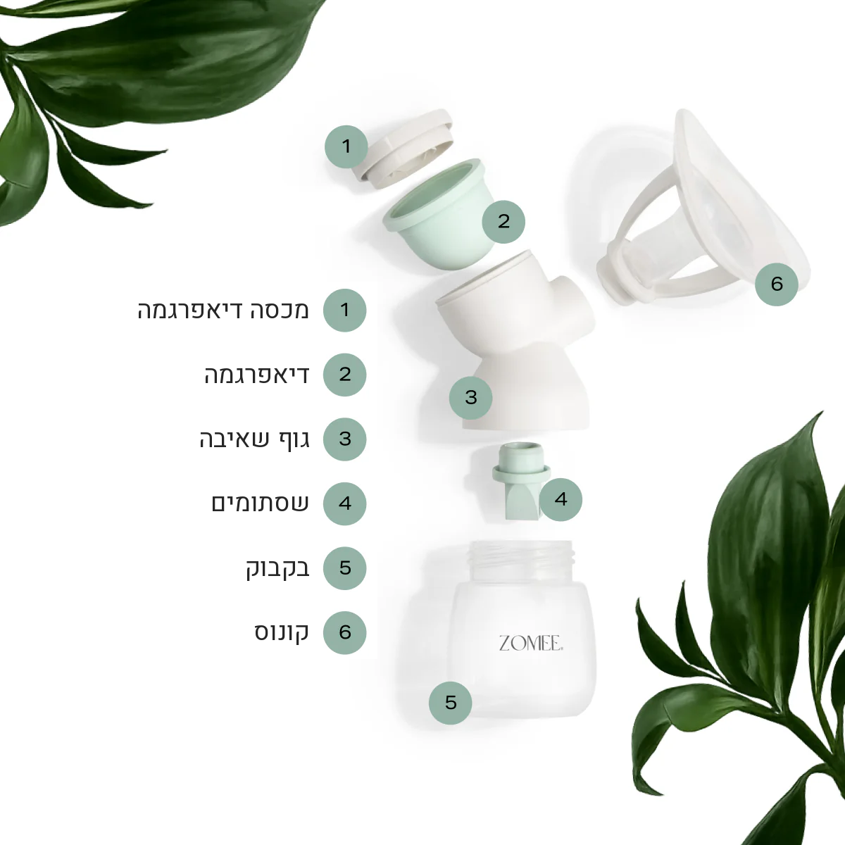 Zomee Mother's Nature™ H1 - זוג דיאפרגמות סיליקון